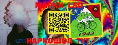 ALPHA PVP Новозыбков